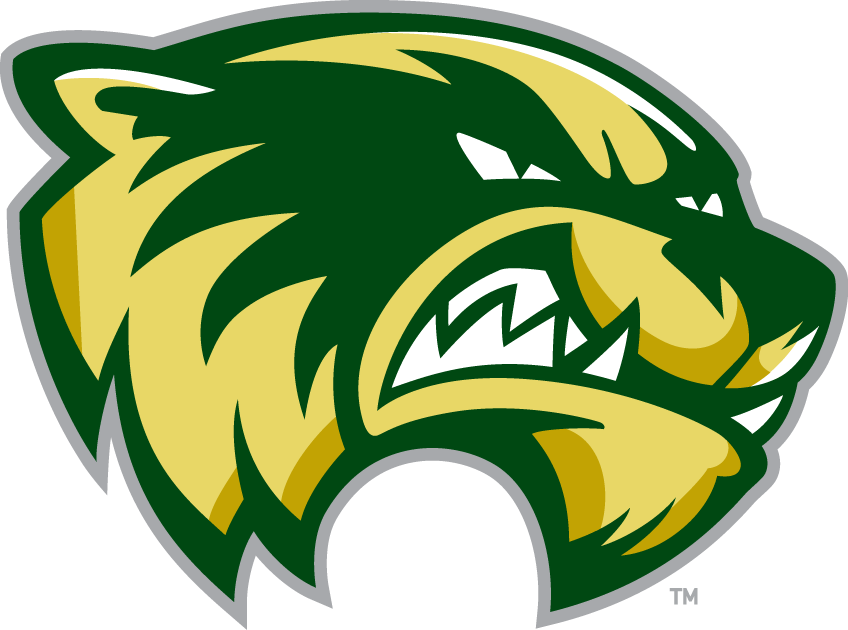 Utah Valley Wolverines 2008-Pres Alternate Logo v2 iron on transfers for T-shirts